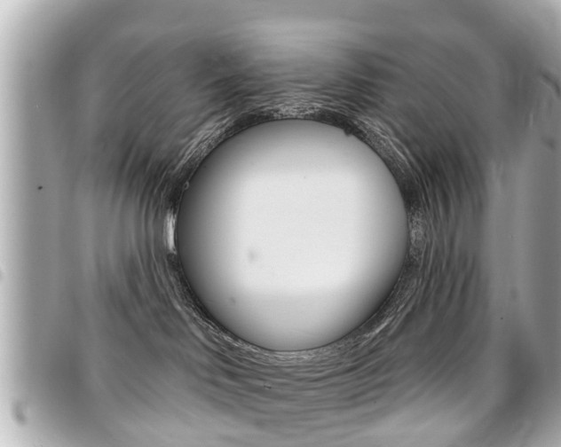 X0000094440046200711081035