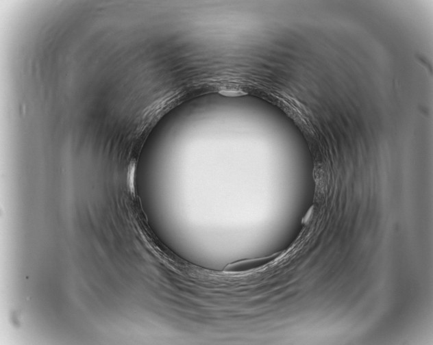X0000094440047200711081035