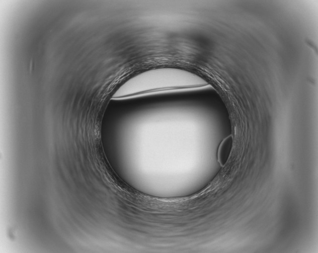 X0000094440048200711081035