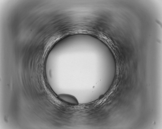 X0000094440049200711081034