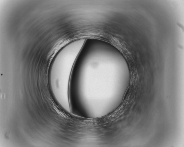 X0000094440050200711081034