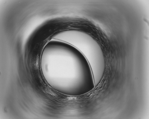 X0000094440052200711081034