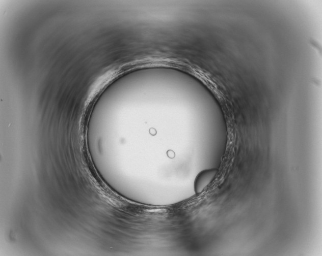 X0000094440053200711081034