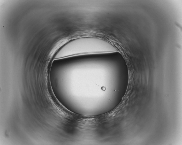 X0000094440054200711081034