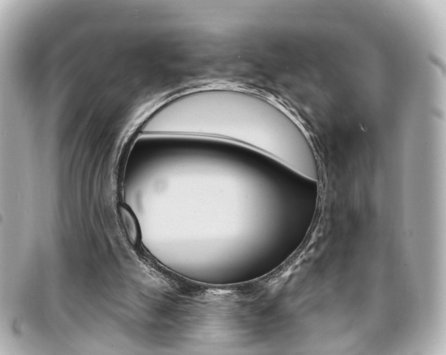 X0000094440055200711081034