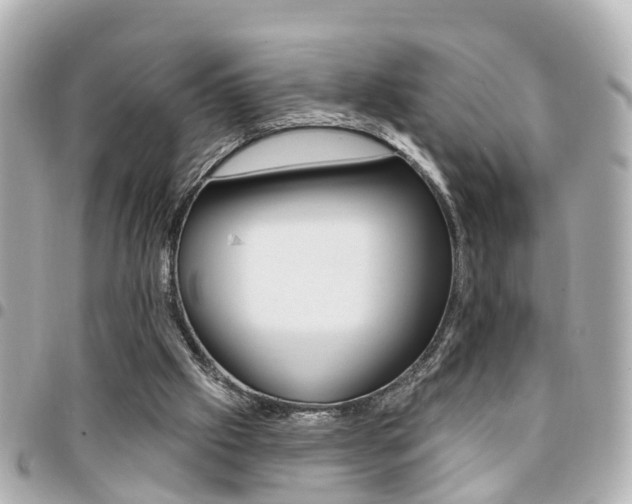 X0000094440057200711081034