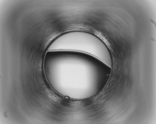 X0000094440058200711081034