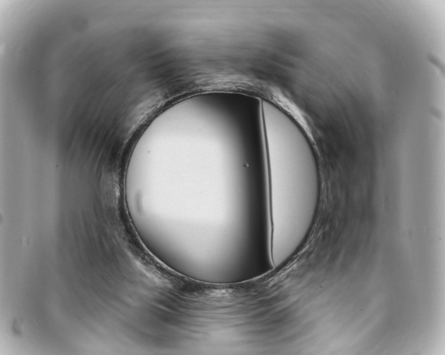 X0000094440059200711081034