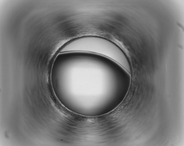 X0000094440060200711081034