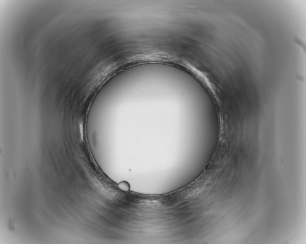 X0000094440061200711081034