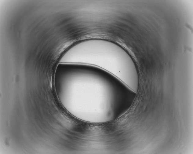 X0000094440062200711081034
