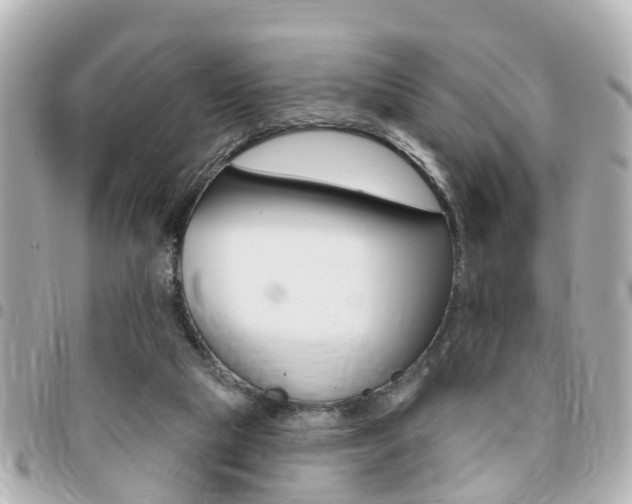 X0000094440065200711081034