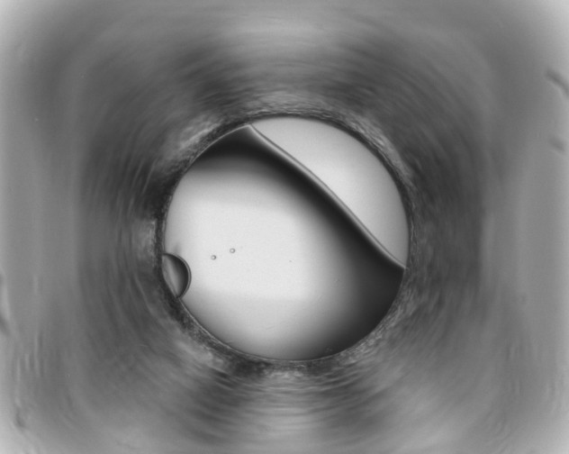 X0000094440066200711081034