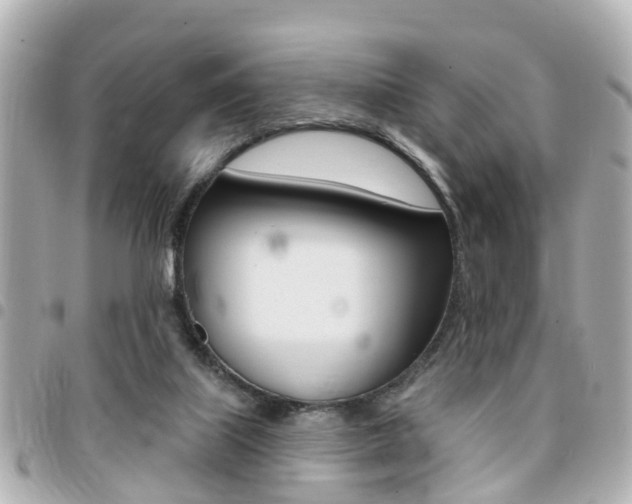X0000094440067200711081034