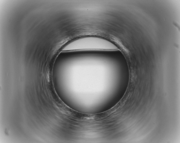 X0000094440068200711081034