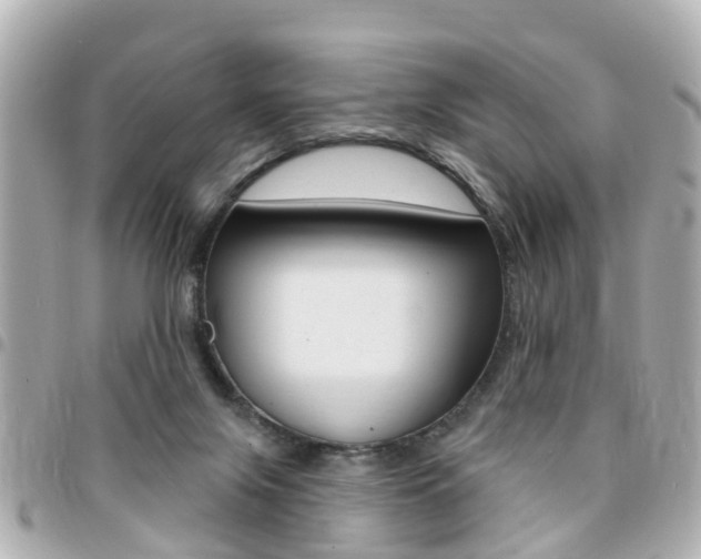 X0000094440071200711081034