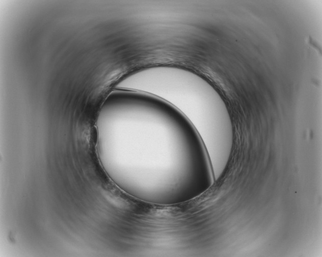 X0000094440072200711081034