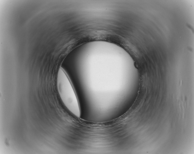 X0000094440073200711081034