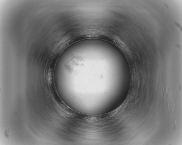 X0000094440074200711081034