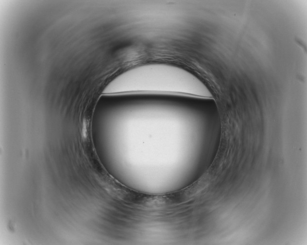 X0000094440075200711081034