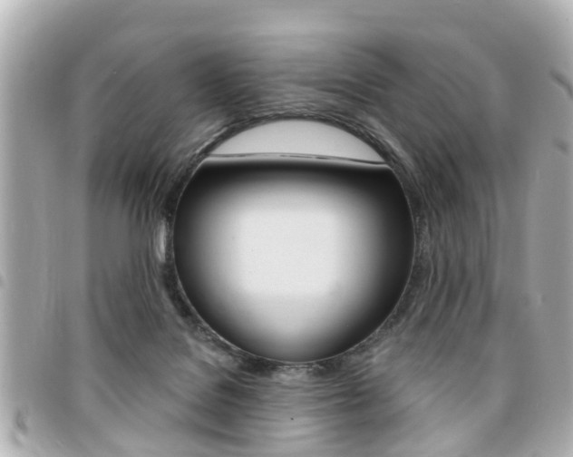 X0000094440076200711081035