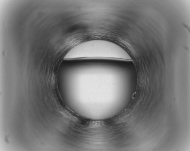 X0000094440077200711081035