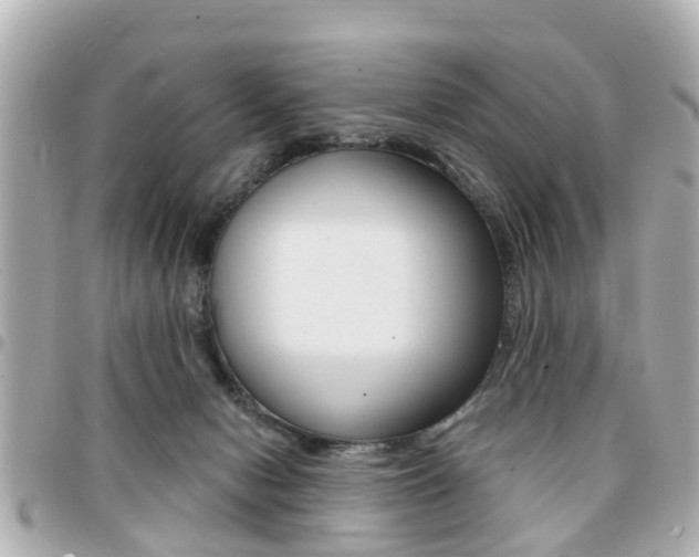 X0000094440078200711081035