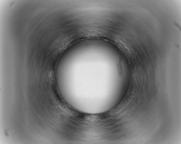 X0000094440079200711081035