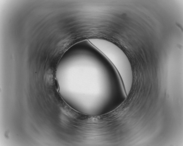 X0000094440080200711081035