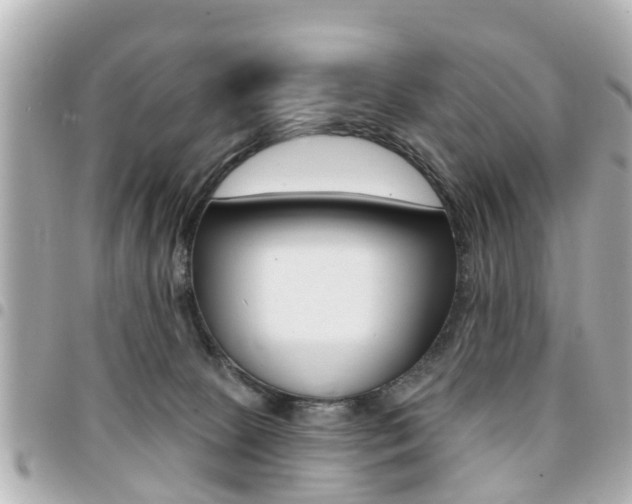 X0000094440081200711081035