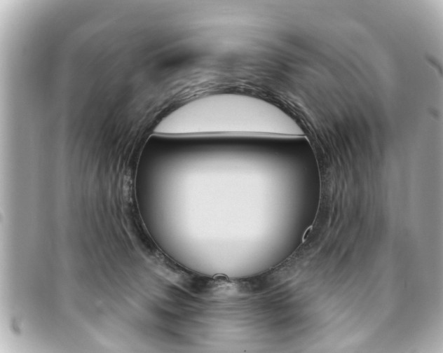 X0000094440083200711081035