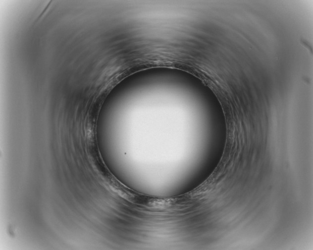 X0000094440084200711081035