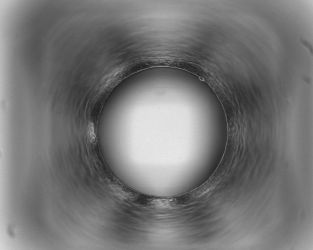 X0000094440089200711081035