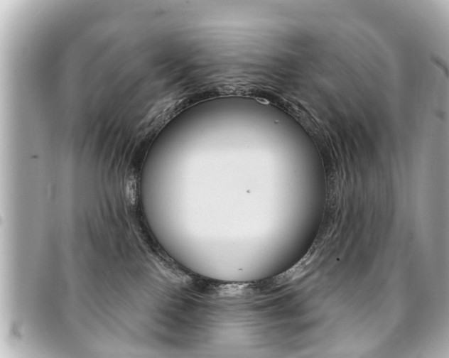 X0000094440090200711081035