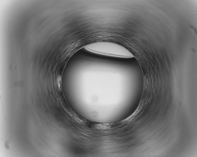 X0000094440094200711081035
