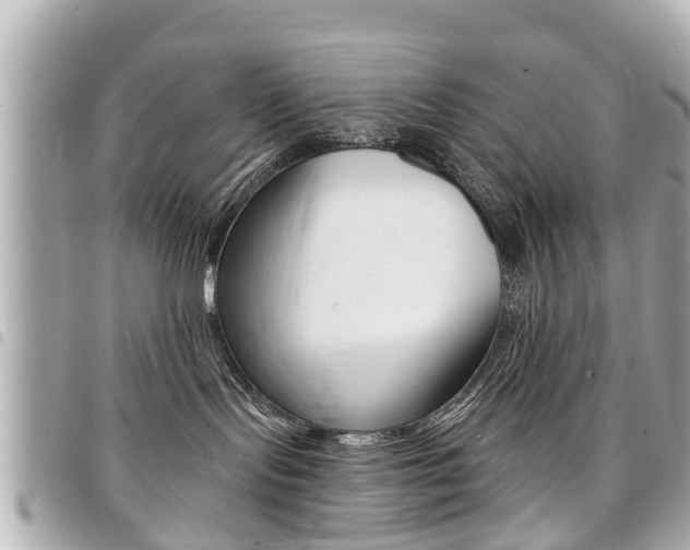 X0000094440095200711081035