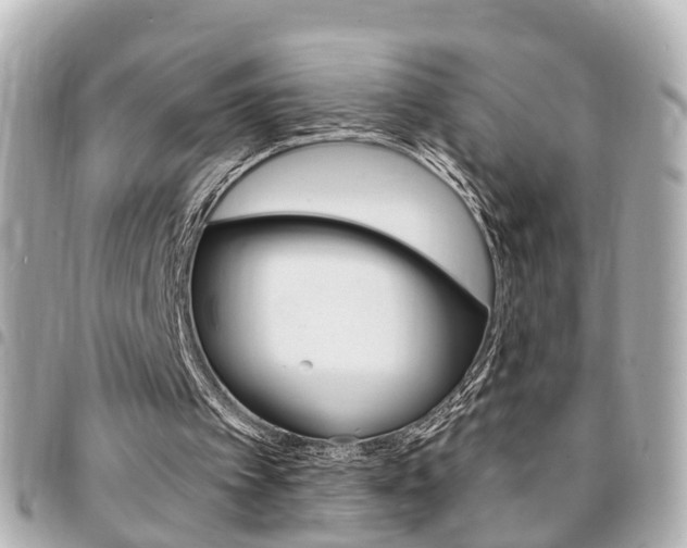 X0000094440097200711081034