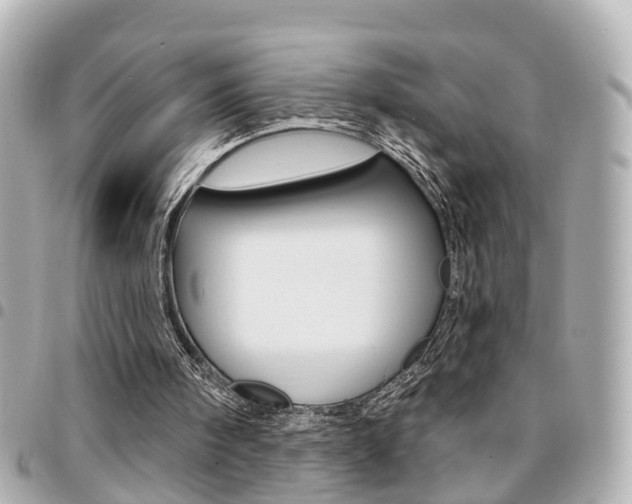X0000094440098200711081034
