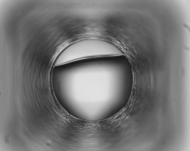 X0000094440099200711081034