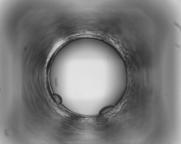 X0000094440102200711081034