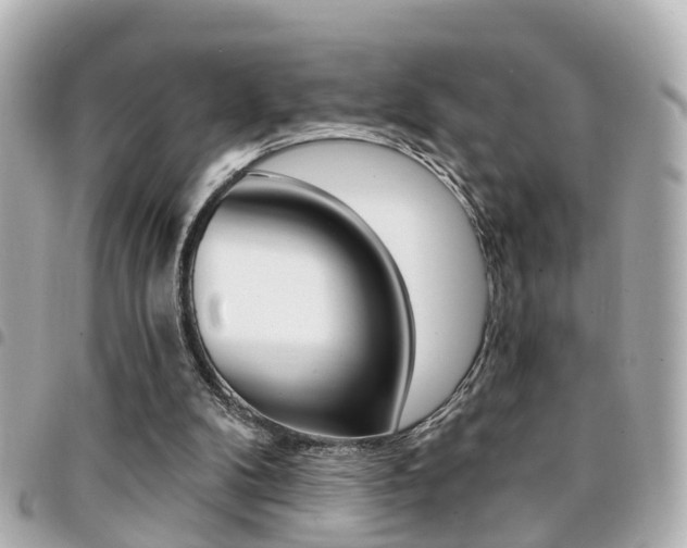 X0000094440104200711081034