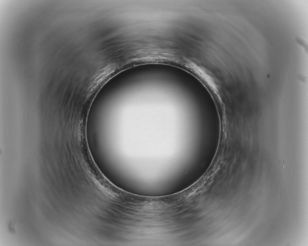 X0000094440105200711081034