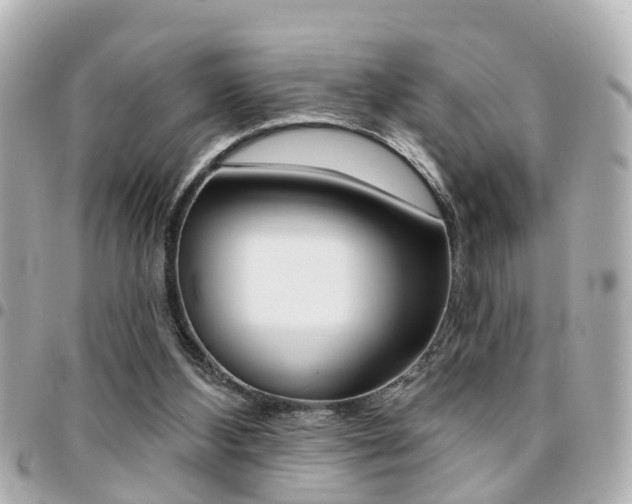 X0000094440108200711081034