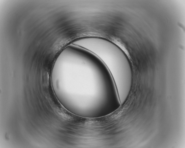 X0000094440109200711081034