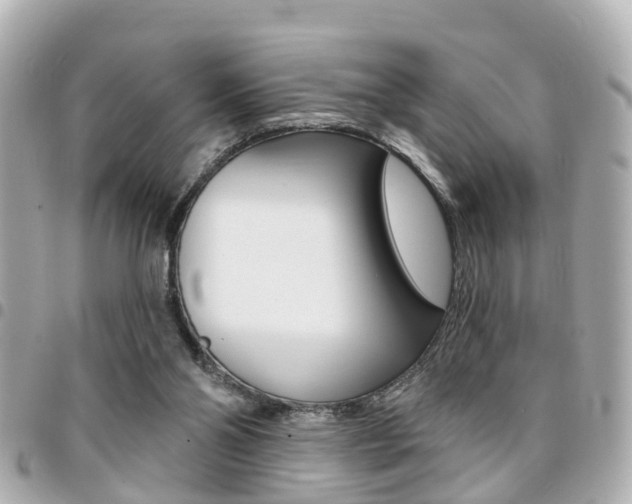 X0000094440110200711081034