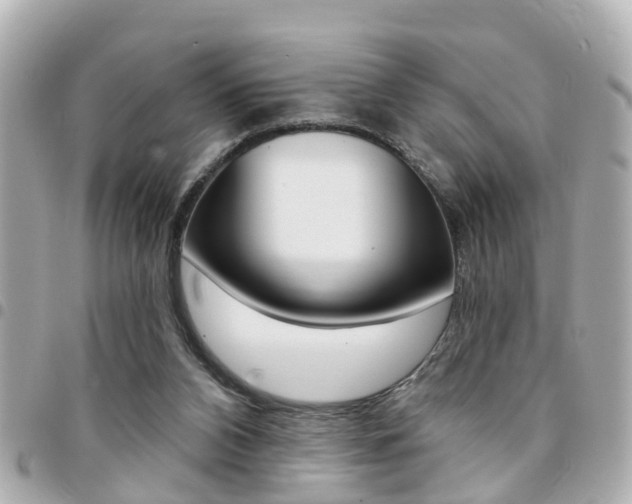 X0000094440112200711081034