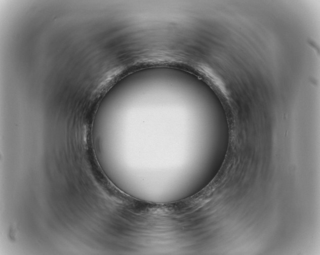 X0000094440115200711081034