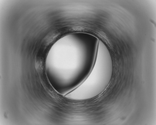 X0000094440116200711081034