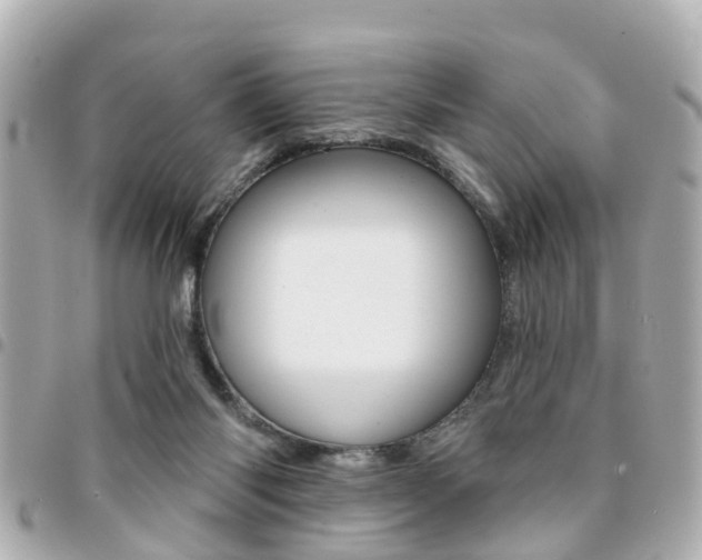 X0000094440118200711081034