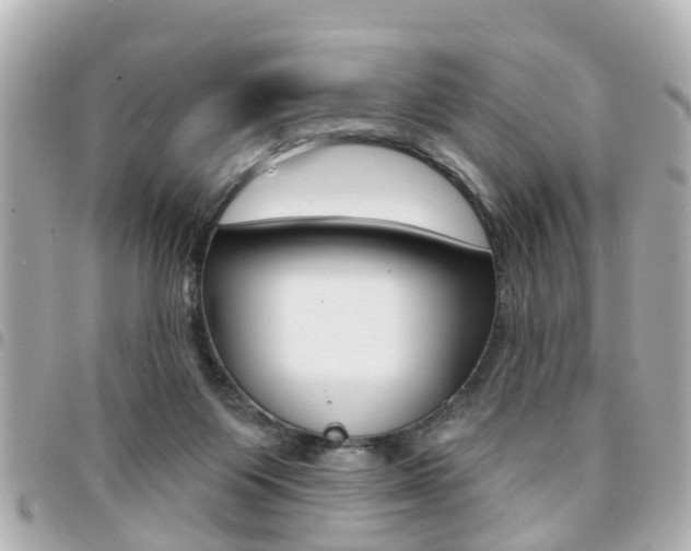 X0000094440119200711081034